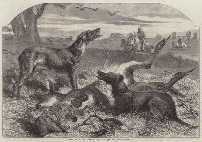 Death of a Red Forester or Old Man Kangaroo by Harrison William Weir